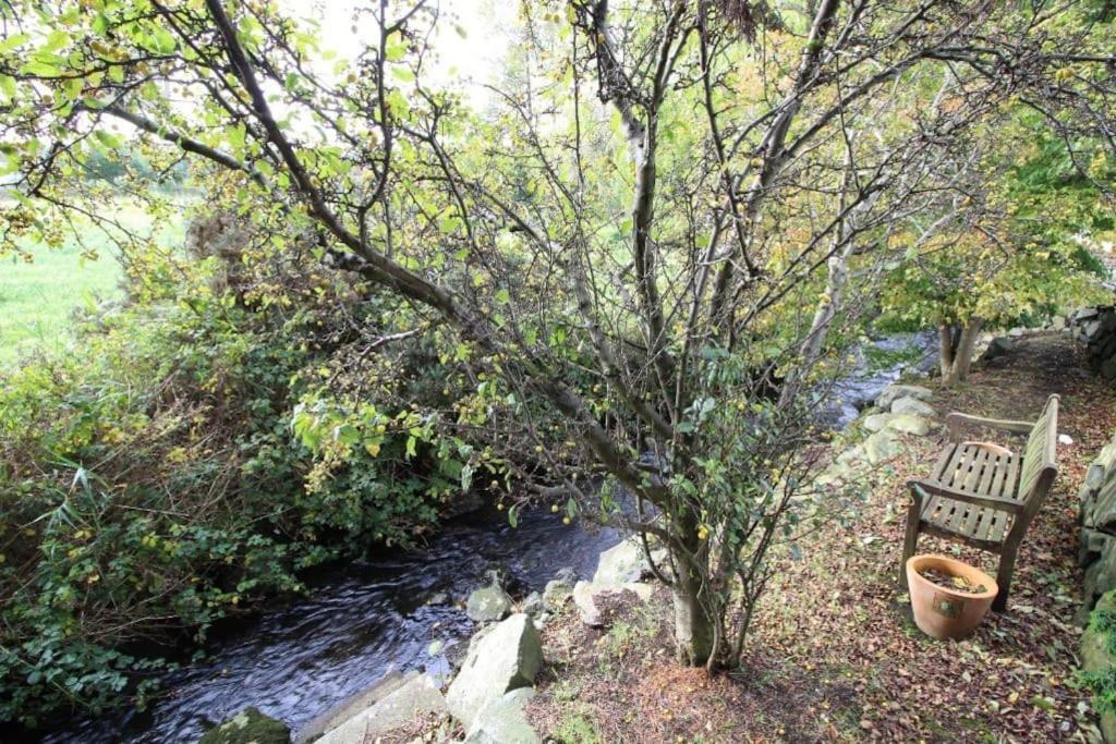 Riverside Cottage At Logwood Mill Ballyclare Dış mekan fotoğraf