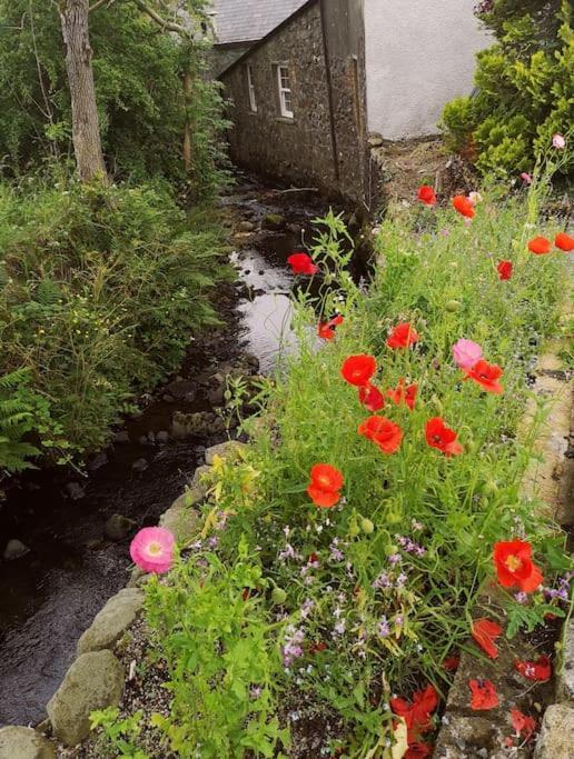 Riverside Cottage At Logwood Mill Ballyclare Dış mekan fotoğraf