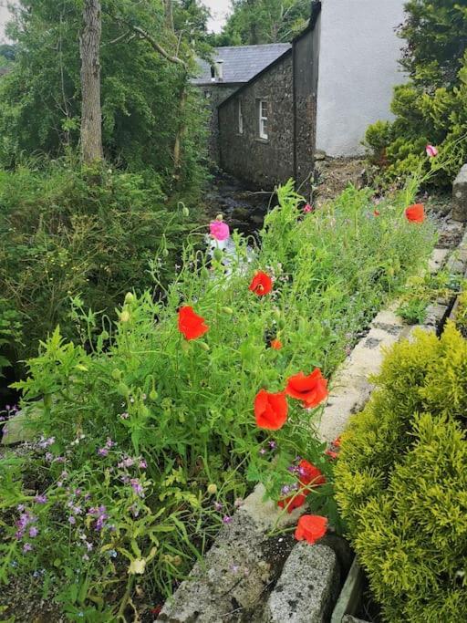 Riverside Cottage At Logwood Mill Ballyclare Dış mekan fotoğraf