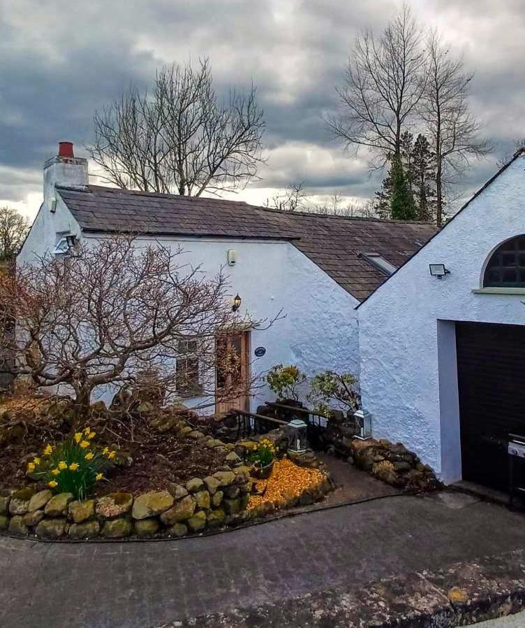 Riverside Cottage At Logwood Mill Ballyclare Dış mekan fotoğraf